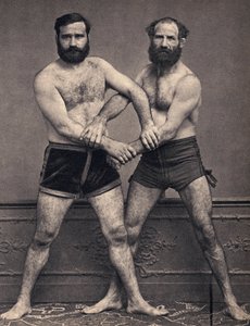 Portrait des frères Marseille en lutteur. Photographie, fin XIXe siècle, Paris. Coll. Selva. - Unknown photographer
