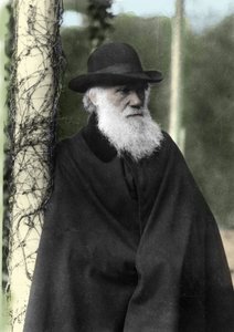 Portrait photographique de Charles Darwin (1809-1882), naturaliste anglais en 1881 - Unknown photographer