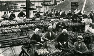 Industrie de la sardine, Finistère, Bretagne (photo n/b) - Unknown photographer