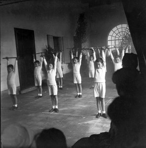 Sports, éducation physique, gymnase scolaire