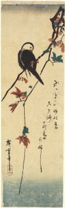 Oiseau sur une branche d