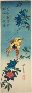(Fac-similé ?) Loriot à nuque noire et clématite - Utagawa Hiroshige