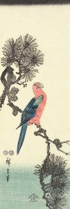 (Perroquet sur un pin), 1847-1852