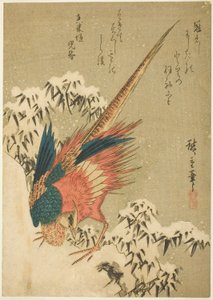 Un faisan doré parmi des bambous enneigés sur une colline escarpée - Utagawa Hiroshige
