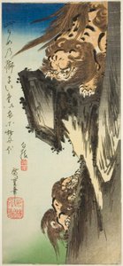 Un lion entraînant un lionceau