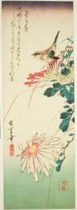 Oiseau et chrysanthèmes - Utagawa Hiroshige