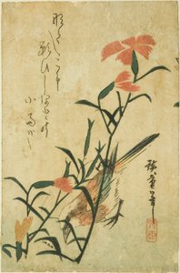 Oiseau et œillet sauvage - Utagawa Hiroshige