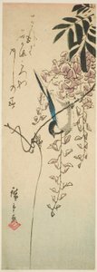 Oiseau sur glycine - Utagawa Hiroshige