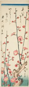 Branches de prunier en fleurs - Utagawa Hiroshige