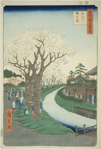 Fleurs sur la berge de la rivière Tama (Tamagawa-zutsumi no hana), de la série Cent vues célèbres d