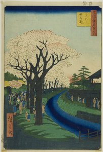 Fleurs sur la digue de la rivière Tama (Tamagawa-zutsumi no hana), de la série "Cent vues célèbres d