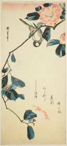 Bouvreuil sur une branche de camélia - Utagawa Hiroshige