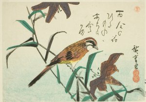 Bruant et lys - Utagawa Hiroshige