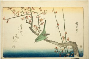 Bouscarle sur branche de prunier - Utagawa Hiroshige