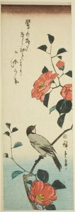 Fleurs de camélia et bouvreuil - Utagawa Hiroshige