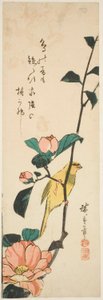 Canari et camélias - Utagawa Hiroshige