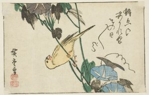 Canari et gloires du matin - Utagawa Hiroshige