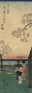 Observation des cerisiers en fleurs à Gotenyama, mars 1852