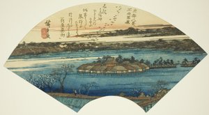 Oies descendantes à l