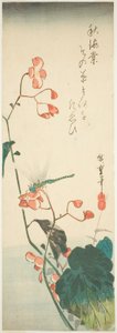 Libellule et bégonia - Utagawa Hiroshige