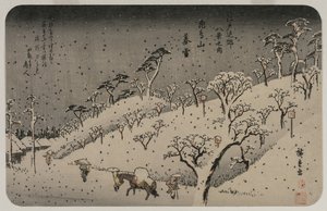 Neige du soir à la colline d