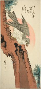 Faucon sur un pin avec le soleil levant - Utagawa Hiroshige