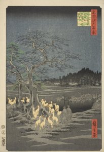 Feux de renard la veille du Nouvel An à l