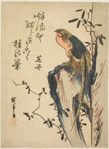 Faisan doré - Utagawa Hiroshige