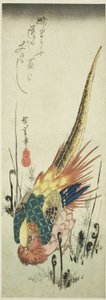 Faisan doré et fougères - Utagawa Hiroshige