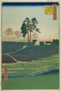 Colline Goten à Shinagawa (Shinagawa Gotenyama), de la série "Cent vues célèbres d