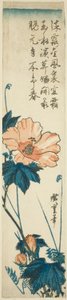 Hibiscus - Utagawa Hiroshige