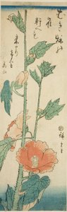 Hibiscus - Utagawa Hiroshige