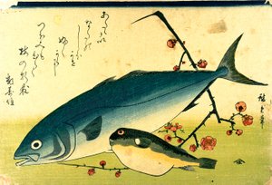 Hiroshige Un banc de poissons Fugu Yellowtail - Utagawa Hiroshige