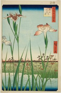 Iris à Horikiri, de la série "Cent vues célèbres d