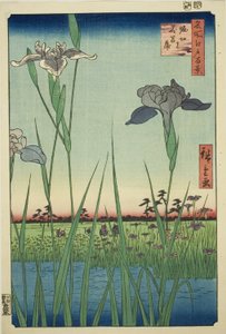 Iris à Horikiri (Horikiri no hanashobu), de la série "Cent vues célèbres d