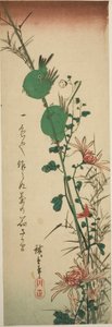 Oiseaux blancs japonais et chrysanthèmes - Utagawa Hiroshige