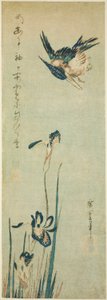 Martin-pêcheur et iris - Utagawa Hiroshige