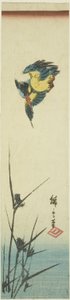 Martin-pêcheur et roseaux - Utagawa Hiroshige