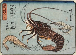 Homard, crevette et crevettes, 1830-1844