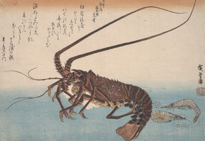 Homard et crevette, vers 1832