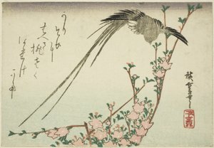 Oiseau à longue queue et fleurs de pêcher - Utagawa Hiroshige