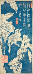 Néflier et oiseau - Utagawa Hiroshige