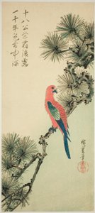 Ara sur une branche de pin - Utagawa Hiroshige