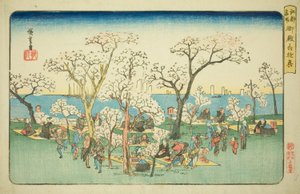 Festivités à Goten Hill, de la série "Lieux célèbres d
