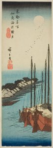 Clair de lune brumeux sur le rivage de l