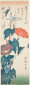 Gloires du matin - Utagawa Hiroshige