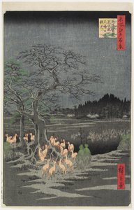 Réveillon du Nouvel An aux feux de renard à Nettle Tree, O_ji, septembre 1857