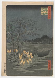 Réveillons du Nouvel An aux feux de renard à l