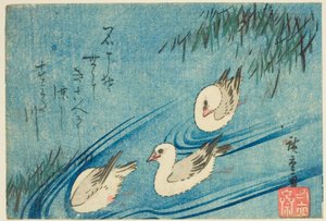 Huîtriers - Utagawa Hiroshige