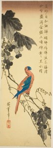 Perroquet sur une vigne - Utagawa Hiroshige
